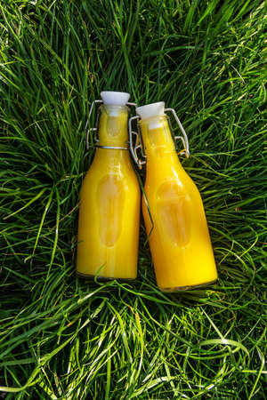 Two bottles of refreshing juice. Orange juice on green grass backgroundの写真素材