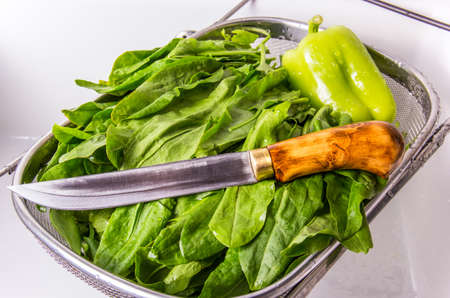 Green sorrel and a kitchen knife. Green leaves in the kitchen sinkの写真素材