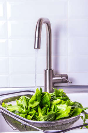 Lettuce leaves in the sink. Green lettuce under running waterの写真素材