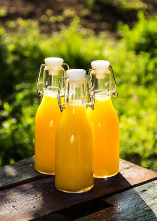 Refreshing orange juice in glass bottles. Cold drinks in the summer gardenの写真素材
