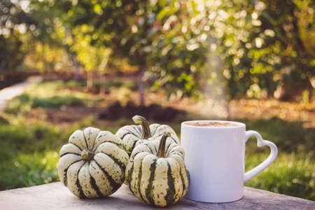 Hot pumpkin latte. Hot coffee and pumpkins. Early autumn in the home garden