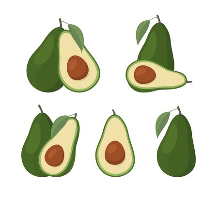 Set of avocados isolated on white background. Vector Illustrationのイラスト素材