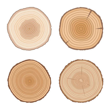 Set of tree cross sections. Wooden elements with tree rings.Isolated on white background. Flat style, vector illustration.のイラスト素材
