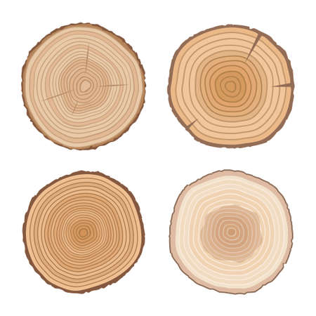 Set of tree cross sections. Wooden elements with tree rings.Isolated on white background. Flat style, vector illustration.のイラスト素材