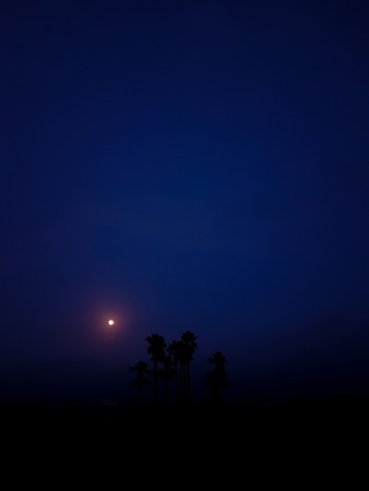 night landscape on the beach with the moon and the silhouette of some palm trees, strong blue skyの写真素材