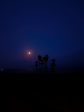 night landscape on the beach with the moon and the silhouette of some palm trees, strong blue skyの写真素材