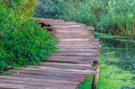 Wood footpath in Dal Lake, Srinagar, India.の写真素材