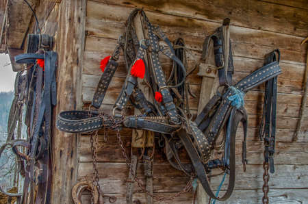 Harness for horses from leather in Romania.の写真素材