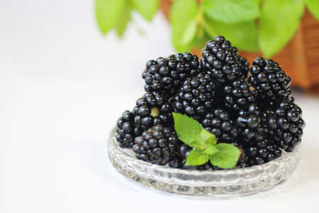 Blackberry on white background