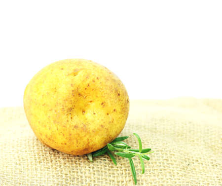 Potatoeの写真素材