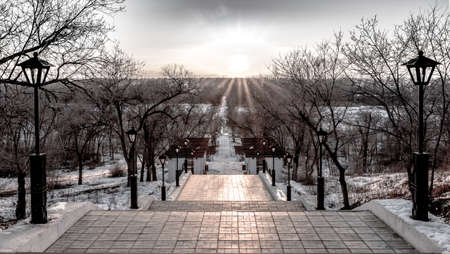 park path in the floodplain of the Akhtuba River in the city of Volzhskyの写真素材