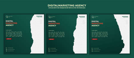 Digital marketing business webinar social media post. vector illustration and textのイラスト素材