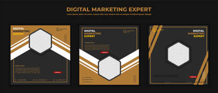 Digital marketing business webinar social media post. vector illustration and textのイラスト素材