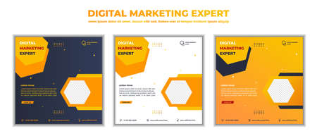 Digital marketing business webinar social media post. vector illustration and textのイラスト素材
