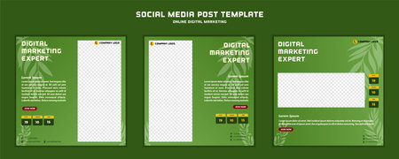 Social media post template modern design with leaf, for digital marketing online or poster marketing templateのイラスト素材