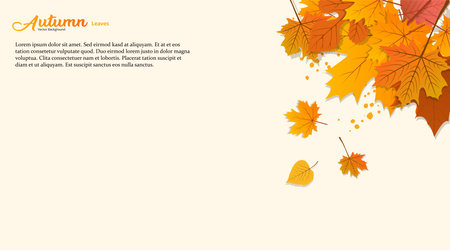 Vector background with red, orange, brown and yellow falling autumn leavesのイラスト素材