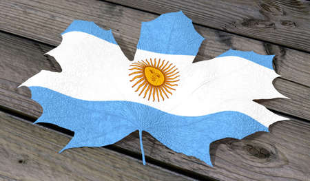 Leaf color Argentinaの写真素材