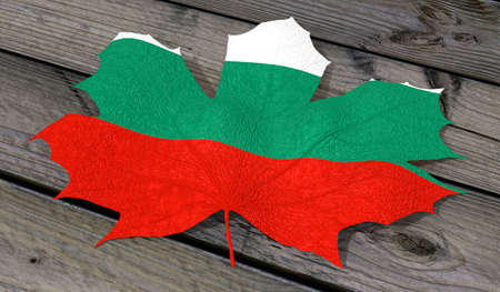 Leaf color Bulgariaの写真素材