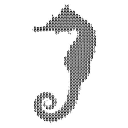 Seahorse silhouetteの写真素材