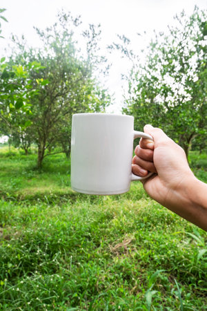 Mug mockup, mug in hand against the backdrop of a natural landscape of an orange plantation. Great for layering your custom quotes and designs for selling mugs.の写真素材