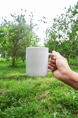 Mug mockup, mug in hand against the backdrop of a natural landscape of an orange plantation. Great for layering your custom quotes and designs for selling mugs.の写真素材