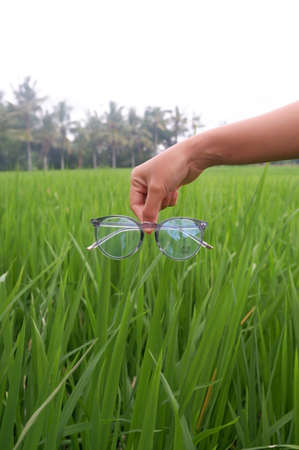 One hand holding transparent gray glasses against a background of rice plantsの写真素材