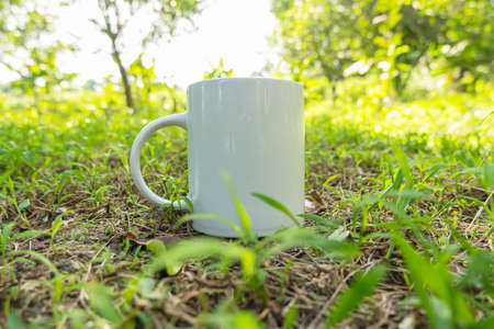 green leaf background in the garden in summerの写真素材