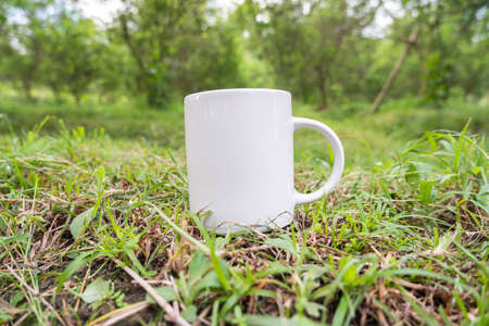 white coffee mug on the grass. Mug mockup on grass in garden. White mug isolated on grass background. nature coffee mugの写真素材