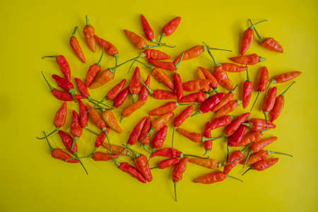 small red chili isolated on a yellow backgroundの写真素材