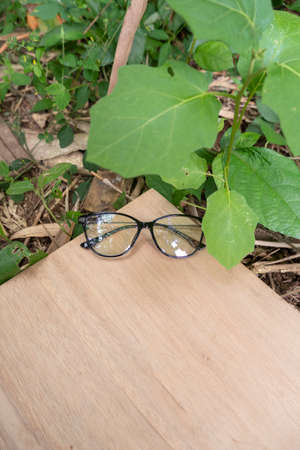 black cat eye glasses frames on old wood. Cat's eye glasses frame in the photo from above with a natural landscape background. cat eye glassesの写真素材