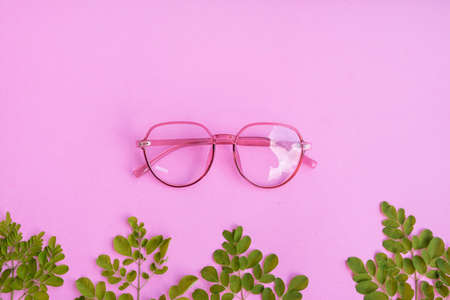 Transparent pink eyeglasses on pastel pink paper background with green leaf accessoriesの写真素材