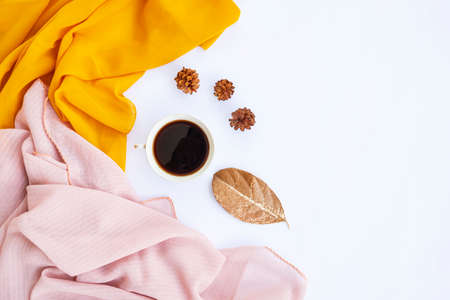 Minimalist Concept. dry leaves, book and pen on white background. Autumn, autumn concept. Flat lay, top view, copy spaceの写真素材