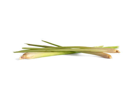 lemongrass isolated on a white backgroundの写真素材