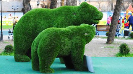 The Bears. Artificial turf in the city park.の写真素材