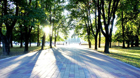 The park alley is covered with shadows of trees at sunset in Nalchik on a September day.の写真素材