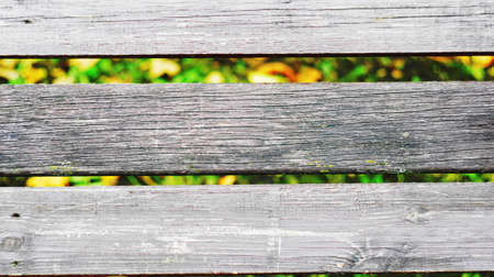 Texture of old wooden boards. Old wooden boards on a park bench with a pronounced texture of wood fibers.の写真素材