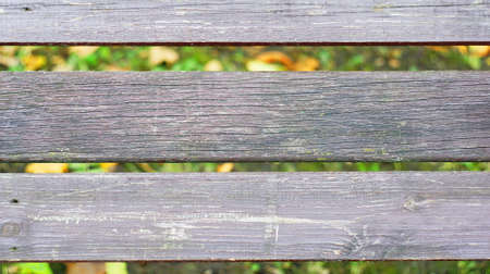 Old wooden boards on a park bench with a pronounced texture of wood fibers.の写真素材