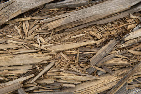 Old wood texture. Grunge retro vintage wooden board. Dusty Background