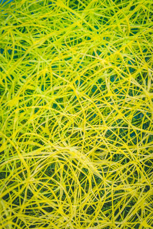 Abstract background of yellow threads on blue