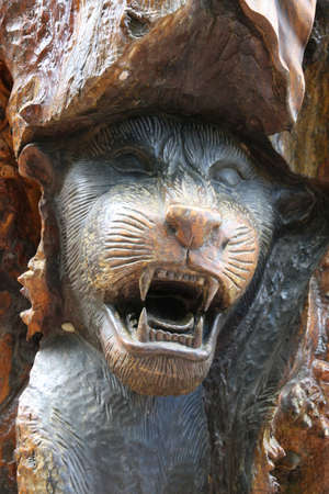 Jaguarの写真素材