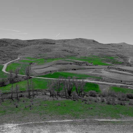 Spring black and greenの写真素材