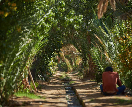 Merzouga, Morocco - December 04, 2018: palm tunnel with a stream in the middle, in an oasis of moroccoのeditorial素材