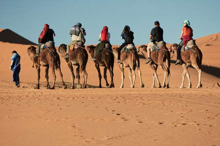 Merzouga, Morocco - December 05, 2018: camel excursion in the merzouga desertのeditorial素材
