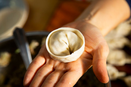 Japanese gyoza. Traditional Japanese dumplings stuffed with meat and vegetables.の写真素材