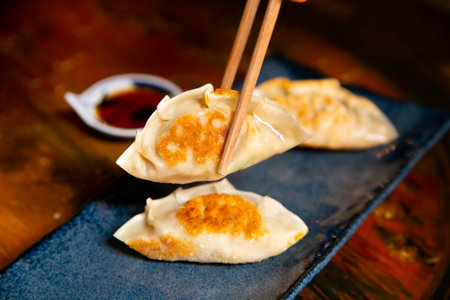 Japanese gyoza. Traditional Japanese dumplings stuffed with meat and vegetables.の写真素材