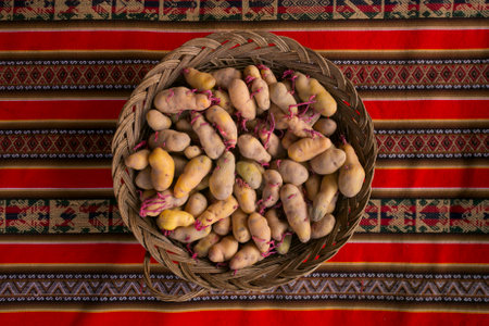 In the pachamanca ceremony, lamb, alpaca, pork and beef are cooked. Also variety of tubers and vegetables. All under hot stones and covered with earth.の写真素材