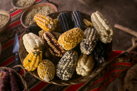 In the pachamanca ceremony, lamb, alpaca, pork and beef are cooked. Also variety of tubers and vegetables. All under hot stones and covered with earth.の写真素材