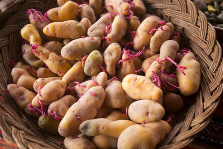 In the pachamanca ceremony, lamb, alpaca, pork and beef are cooked. Also variety of tubers and vegetables. All under hot stones and covered with earth.の写真素材