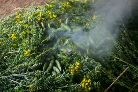 In the pachamanca ceremony, lamb, alpaca, pork and beef are cooked. Also variety of tubers and vegetables. All under hot stones and covered with earth.の写真素材