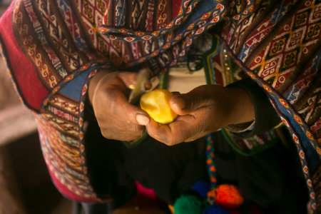 Cooking a traditional Andean vegetable soup before a Pachamanca feast with a Quechua tribe in the Sacred Valley, Peru.の写真素材